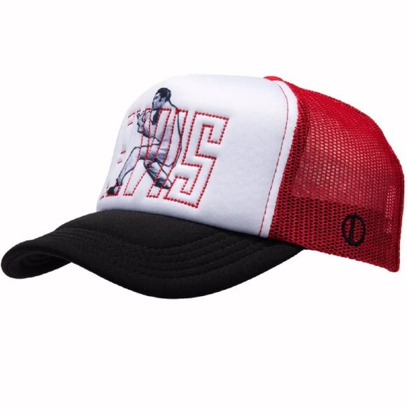 Elvis Sings Mesh Cap Hat - NEW Fast Ship - Picture 2 of 4
